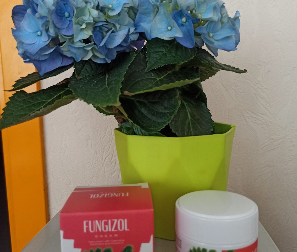 Fungizol